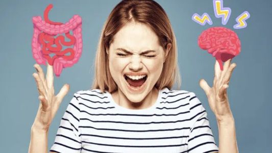 El cuerpo humano tiene un “segundo cerebro”: cómo el intestino influye en tu estado de ánimo y en tu salud