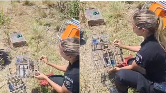 Soldini: decomisan aves atrapadas en jaulas y multan a cazadores