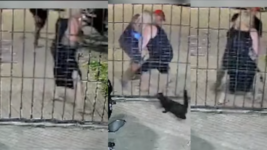 Robo en San Lorenzo: motochorros tiraron y arrastraron a una mujer en plena calle