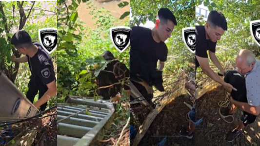 Una perrita fue rescatada tras caer diez metros de una barranca