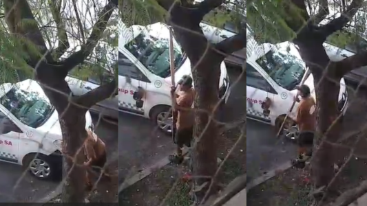 Trapito violento destrozó un vehículo frente al Club Universitario y quedó filmado