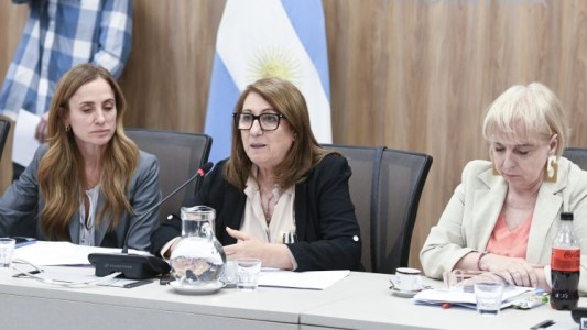 “Es una tragedia sanitaria insólita”: la comisión investigadora por fentanilo contaminado presentó el informe final