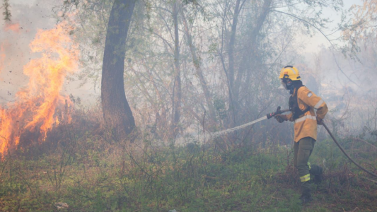 Alerta por incendios: Santa Fe, entre las zonas de "riesgo extremo" ante la ola de calor y la sequía