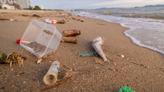 Casi el 80% de los residuos encontrados en las playas bonaerenses son plásticos, según el Censo Provincial de Basura Costera Marina 2025