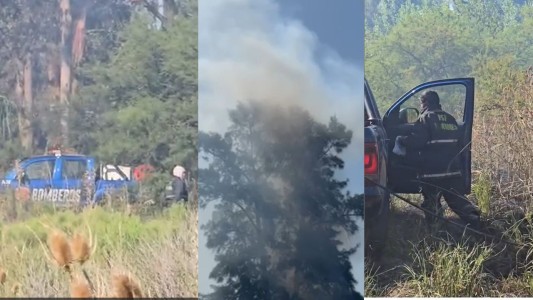 Alerta: incendios se reavivan en el Bosque de los Constituyentes