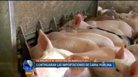 El Ministro de Agricultura de la Nación confirmó que continuará, aunque con cupo, la importación de carne porcina