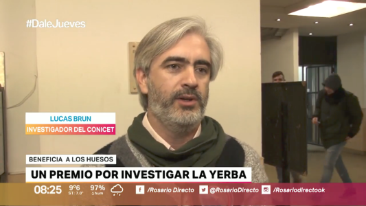 Un científico rosarino fue premiado por investigar los efectos de la yerba mate en los huesos