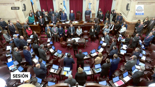 Aborto legal: sesión histórica en el Senado