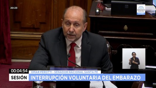 Perotti: "La media sanción que estamos tratando hoy no es una opción para mí"