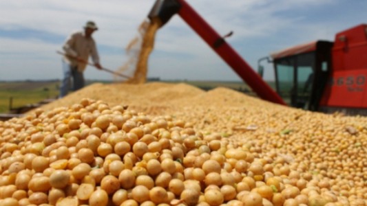 Nación eliminó el fondo sojero y hay malestar en Santa Fe