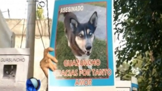 Piden un año de prisión para un hombre por matar a un perro callejero