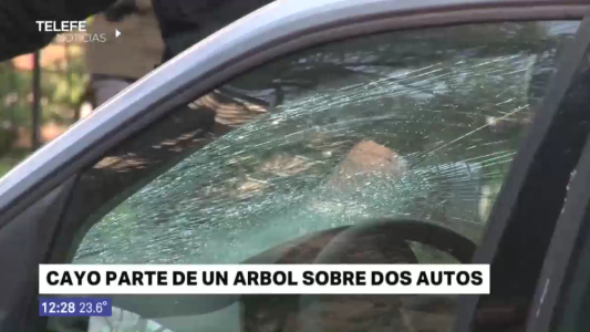 Cayó parte de un árbol y destruyó dos vehículos