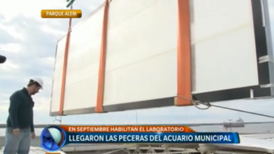 Llegaron las peceras del Acuario Municipal
