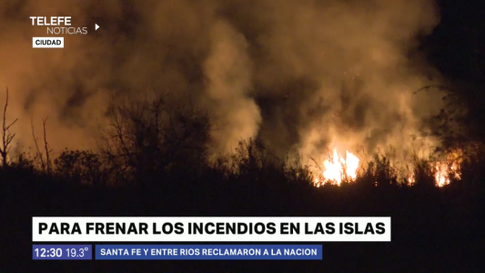 Fuego en las islas: desde la Municipalidad piden abrir causas penales