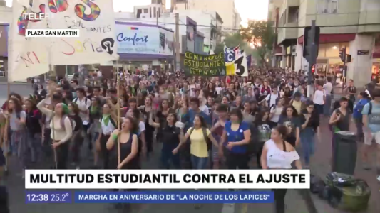 Multitudinaria marcha estudiantil en contra del ajuste