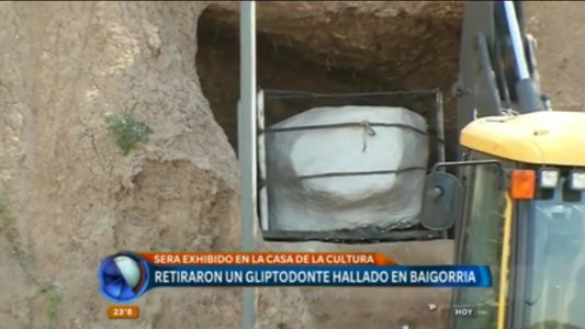 Retiraron los restos de un gliptodonte hallados en Granandero Baigorria