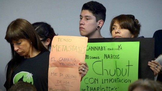 La Cámara de Diputados trató por primera vez la despenalización del uso de cannabis medicinal