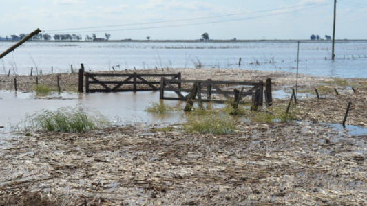 Declararán la emergencia agropecuaria en General Villegas por las inundaciones