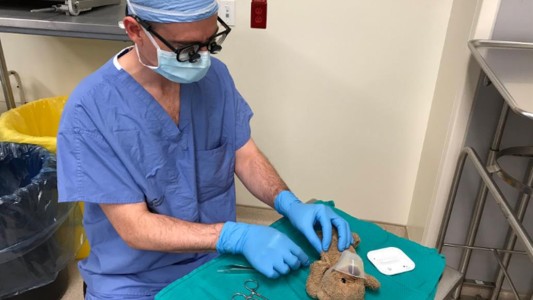 Doctor juguetes: el tierno gesto de un médico que operó al peluche de un pequeño paciente