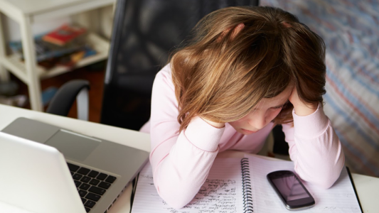 Según una encuesta de Unicef, el acoso virtual es el mayor riesgo online para chicos argentinos