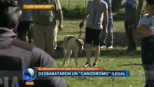 Desbarataron un "canodromo" ilegal