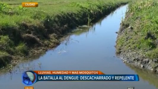 La batalla al dengue: descacharrado y repelente