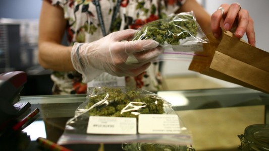 El Gobierno reglamentó parcialmente la ley que autoriza el uso medicinal del cannabis