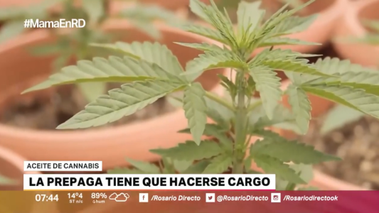 Una prepaga deberá cubrir un tratamiento con cannabis a una niña con epilepsia