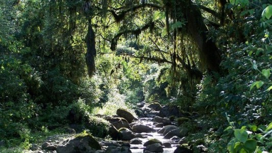 Los Parques Nacionales, ahora disponibles en Google Street View