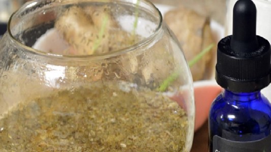 Fallo confirmó la orden de darle cannabis medicinal a un niño