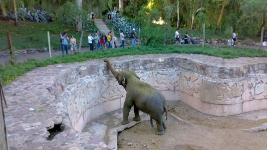 Aprobaron la reconversión del zoológico de Mendoza en Ecoparque y el traslado de los animales