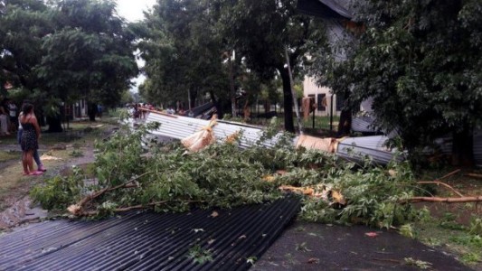 Tragedia en Pilar: una mujer y sus dos pequeñas hijas murieron al caer un árbol en medio de un intenso temporal