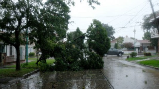 Evacuados, más de 100 árboles caídos, y alertas por trombas marinas en la Costa Atlántica