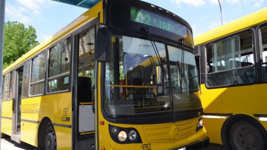 Transporte: la línea 102 negra extenderá su recorrido hasta barrio Olímpico