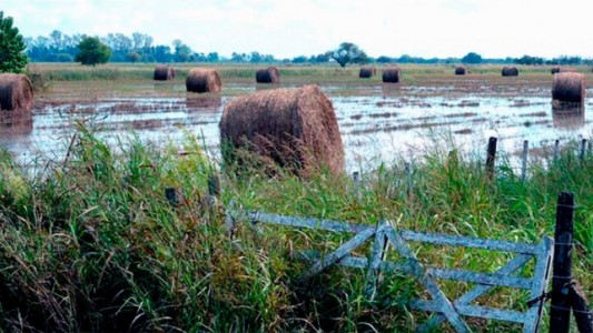 Declararon la emergencia agropecuaria en seis provincias