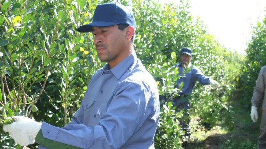Los yerbateros extienden su protesta porque no les pagan el precio oficial