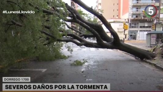 Temporal en Rosario: se registraron severos daños por la tormenta