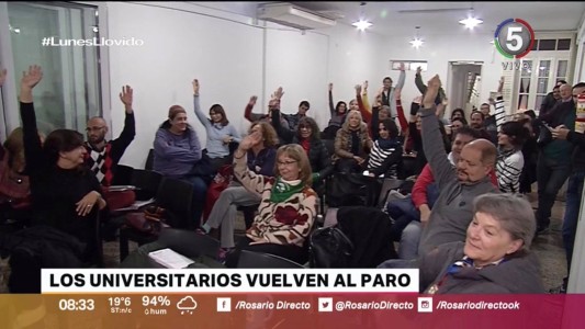 Nuevo paro de docentes universitarios para el próximo viernes