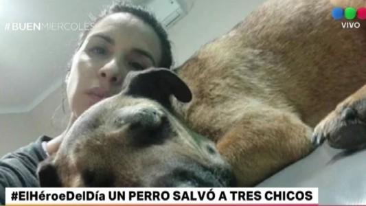 Un perro salvó a tres nenes de que los muerda una víbora