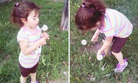 La Pampa: padres donan los órganos de una nena que murió atropellada