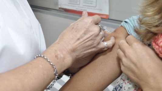 Confirman dos muertes por fiebre amarilla en Argentina