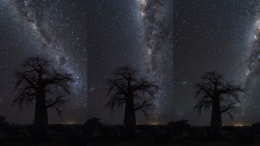 Espectacular show en el cielo: un 'timelapse' de la Vía Láctea en la sabana africana