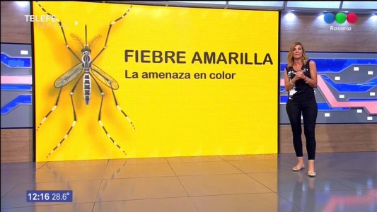 Alta demanda por la vacuna contra la fiebre amarilla