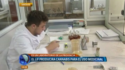 El Laboratorio Industrial Farmacéutico de Santa Fe producirá cannabis para uso medicinal