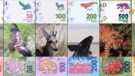 El Banco Central presentó el nuevo billete de 100 y se completa la familia "Animales autóctonos"