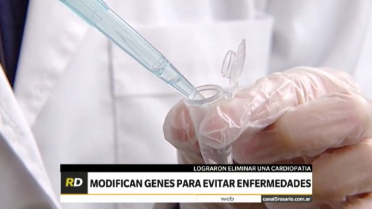 Modifican genes en embriones para evitar enfermedades