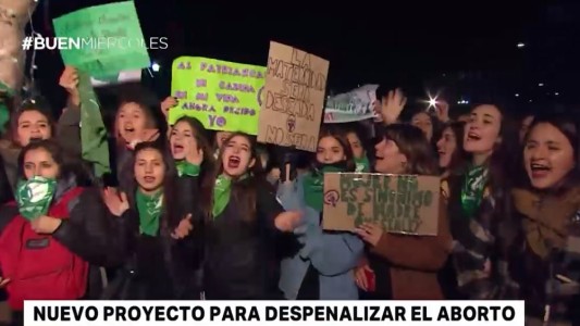 En 2019 volverán a presentar el proyecto para despenalizar el aborto