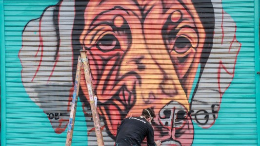 Lindas y coloridas: artistas de distintos puntos del país intervinieron persianas del Área Histórica