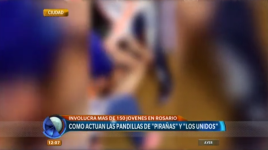 Patotas juveniles: códigos secretos y "vendettas"