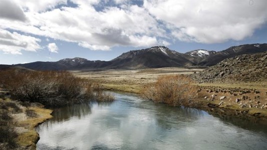 Santiago Maldonado: dieron negativo las excavaciones a la vera del río Chubut